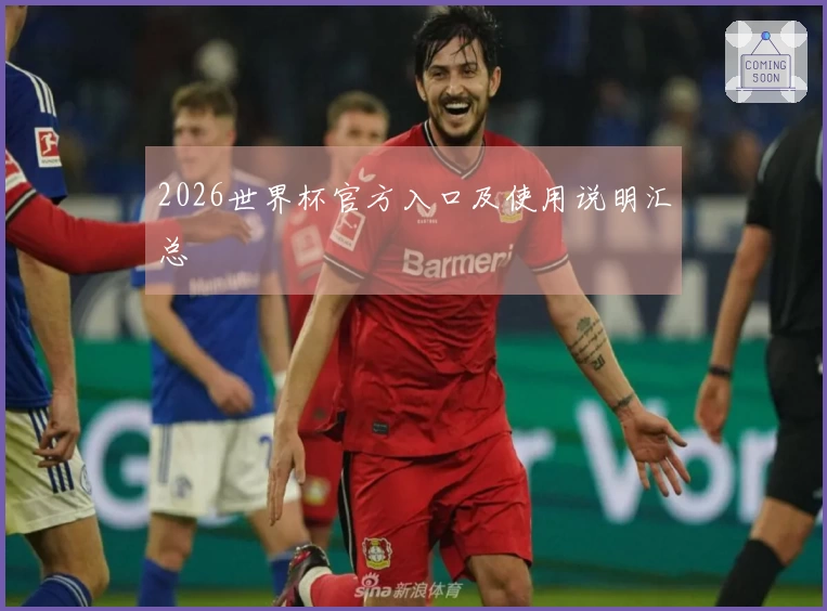 2026世界杯官方入口及使用说明汇总